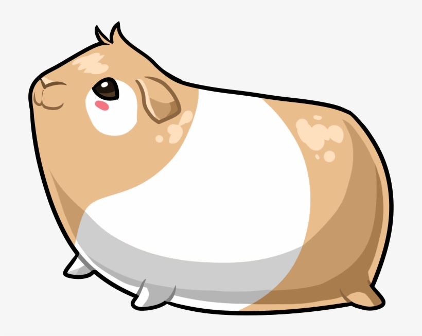 Guinea Pig - I Love Guinea Pigs, transparent png #2290025