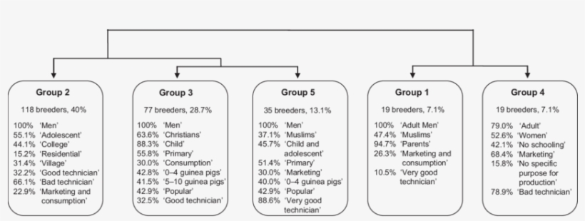 Classification Of Guinea Pig Farmers - Number, transparent png #2290096