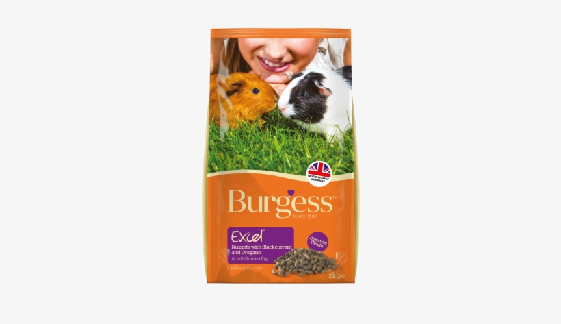 Burgess Excel Tasty Nuggets For Guinea Pig With Oregano - Burgess Excel Guinea Pig Blackcurrant Oregano, transparent png #2290117