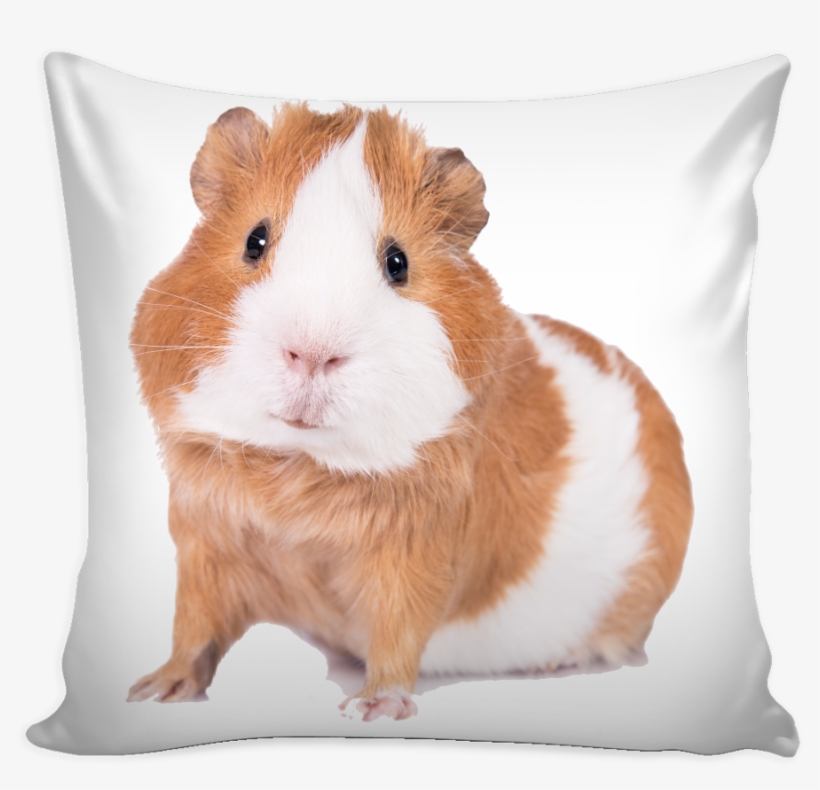 Guinea Pig Pillow Cover - I M Living My Best Life, transparent png #2290330