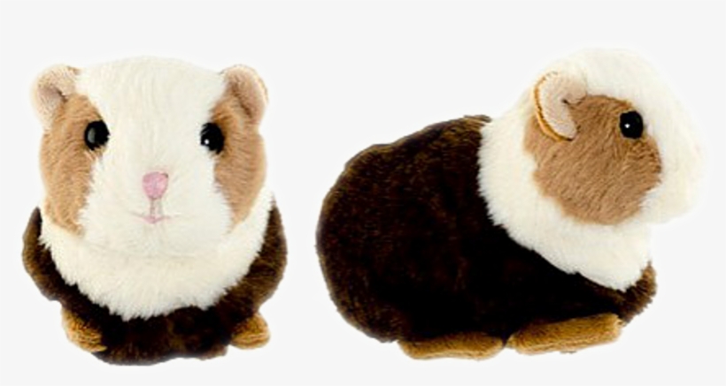 The Guinea Pig Flower Shop Studio Flores - Bukowski Hamster, transparent png #2290678