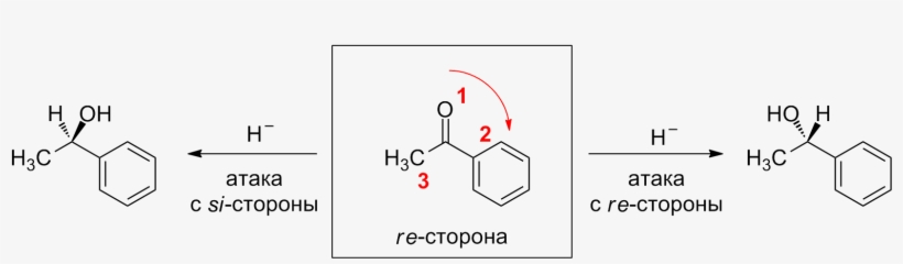 Acetophenone Enantiotopic Faces - Portable Network Graphics, transparent png #2290730