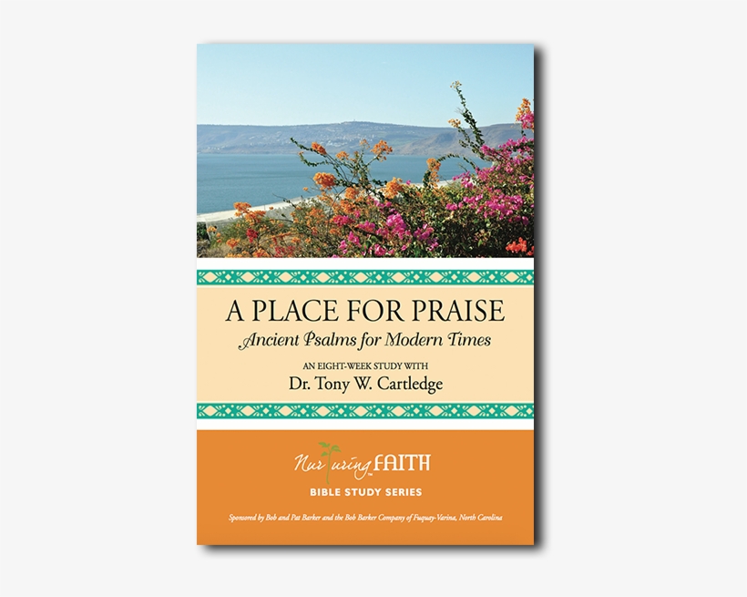 A Place For Praise - Place For Praise By Tony Cartledge, transparent png #2292229