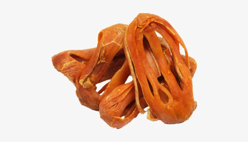 Mace-500× - Mace Nutmeg, transparent png #2292924