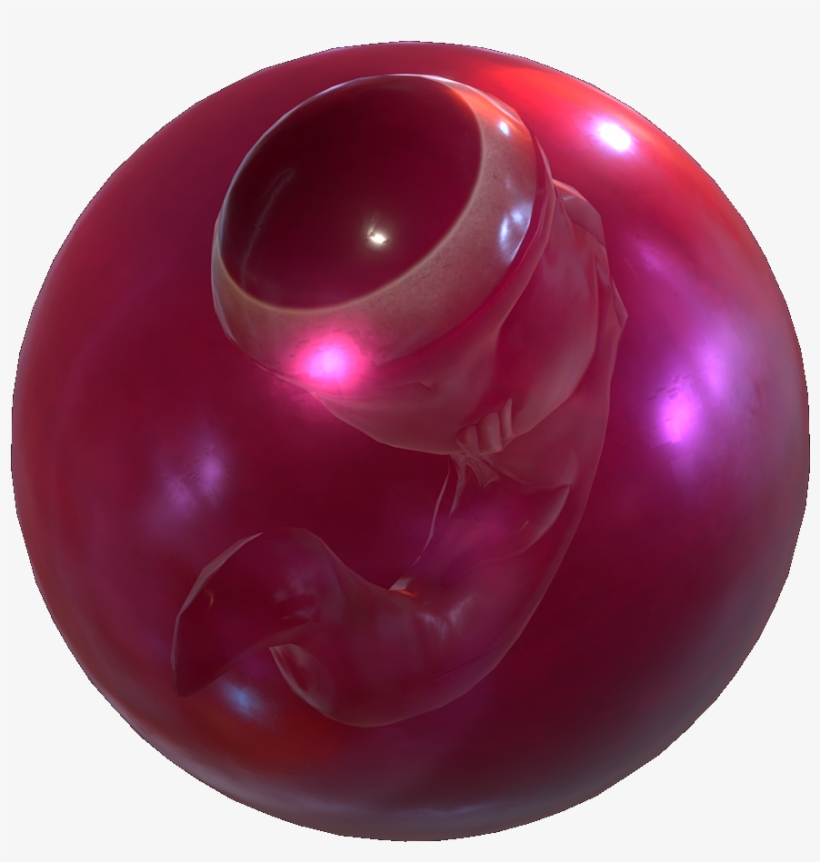 Eggs - Egg, transparent png #2295566