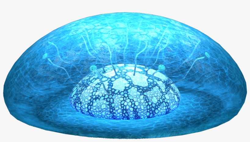 Lost River Amoeba Fauna - Fauna, transparent png #2295609