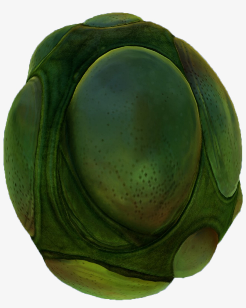 Eggs - Handbag, transparent png #2295694