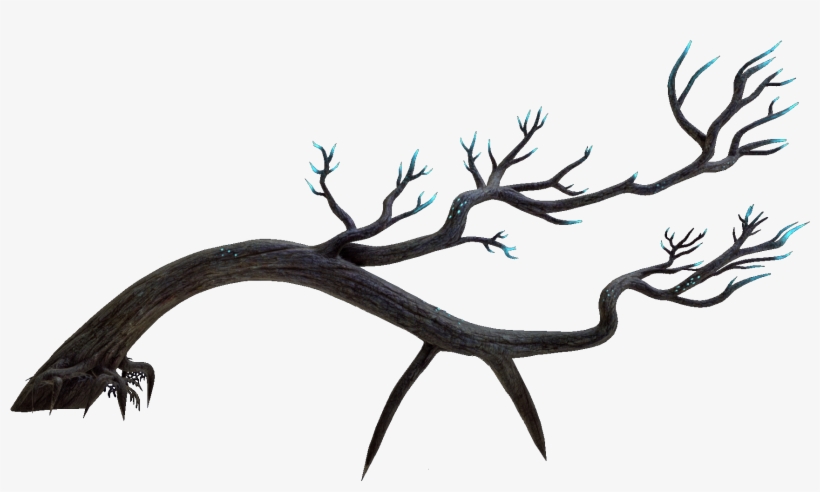 Ghost Tree Flora - Ghost Tree Png, transparent png #2295996