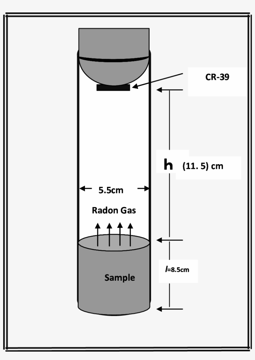 Shows A Test Tube Technique Used In The Study - Diagram, transparent png #2296667