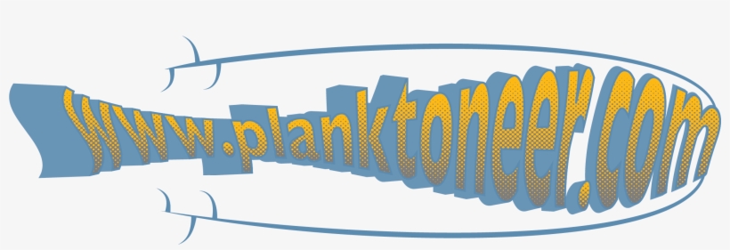 2020 Horns Point Rd - Doctor Of Philosophy, transparent png #2296713