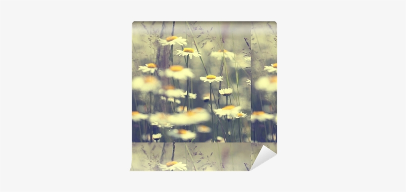 Wednesday Crosswords: Word Masters Edition Vol 3, transparent png #2296952