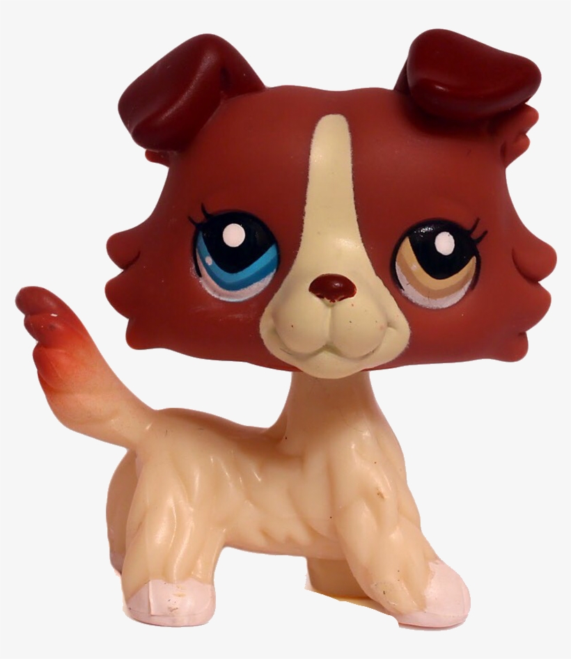 Lps Collie Freetoedit - Lps Collie With Different Colored Eyes, transparent png #2297137