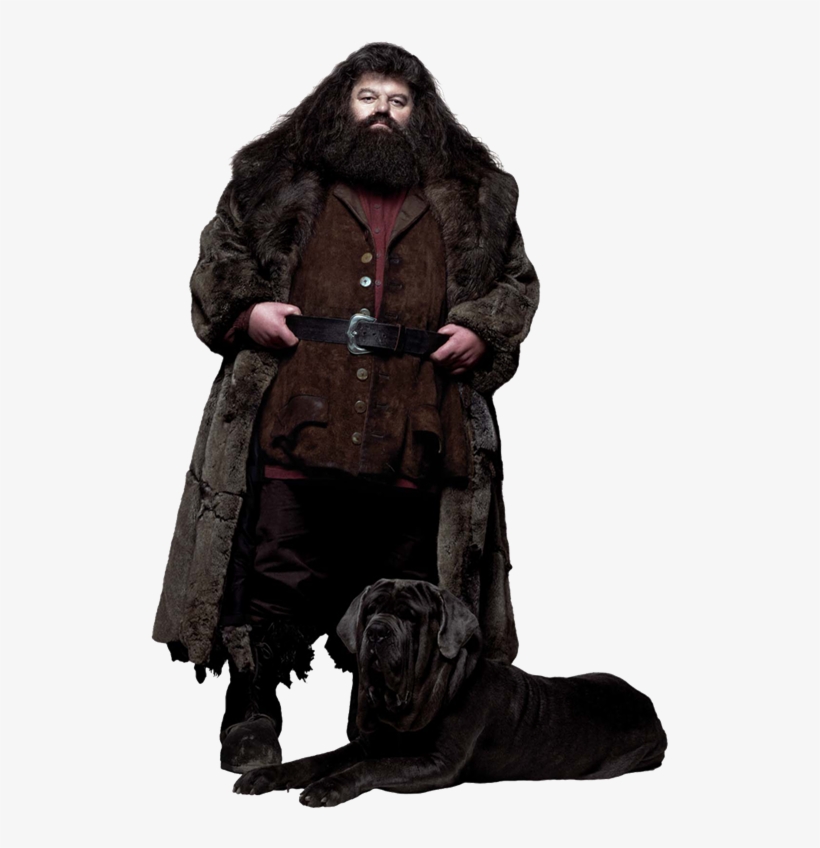 04hagrid Ca Hpe6 - Harry Potter Hagrid And Fang, transparent png #2298087