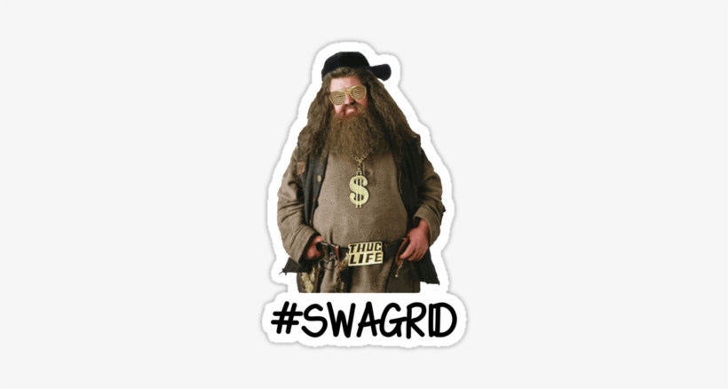Harry Potter, Swag, And Hagrid Image - Hagrid Harry Potter, transparent png #2298160