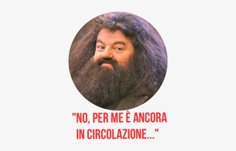 Model Image T Shirt - Power Of The Circle: 4 Relationships To Live Your Purpose, transparent png #2298532