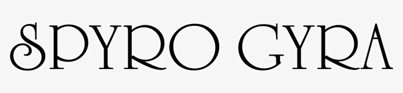 Spyro Gyra Image - Circle, transparent png #2298727