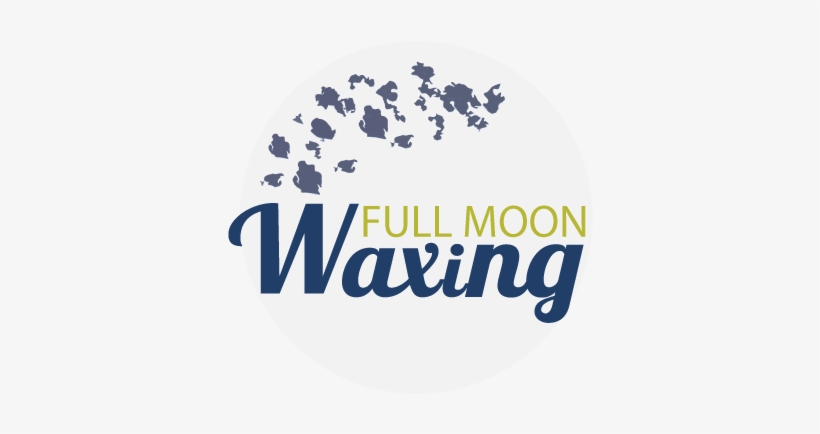 Full Moon Waxing, transparent png #230172