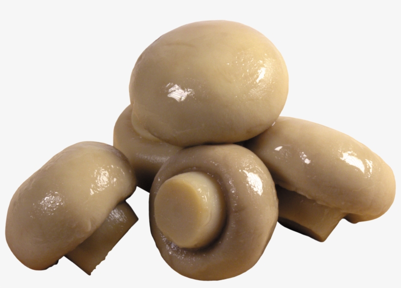 Mushroom Transparent Png, transparent png #230245