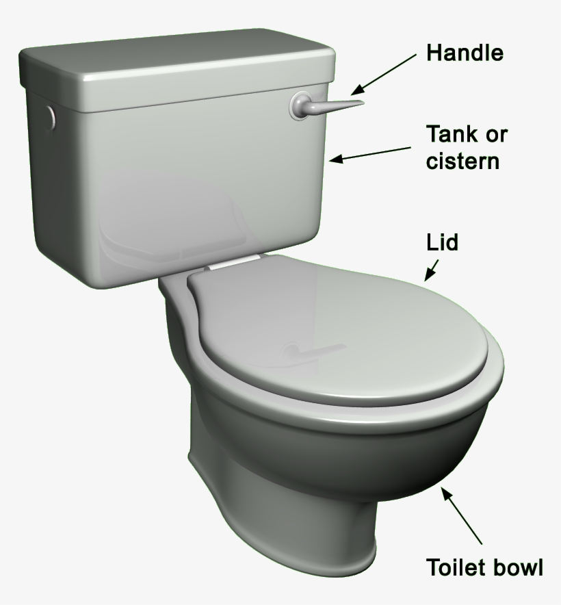 Choosing The Right Toilet For You - Toilet, transparent png #230315