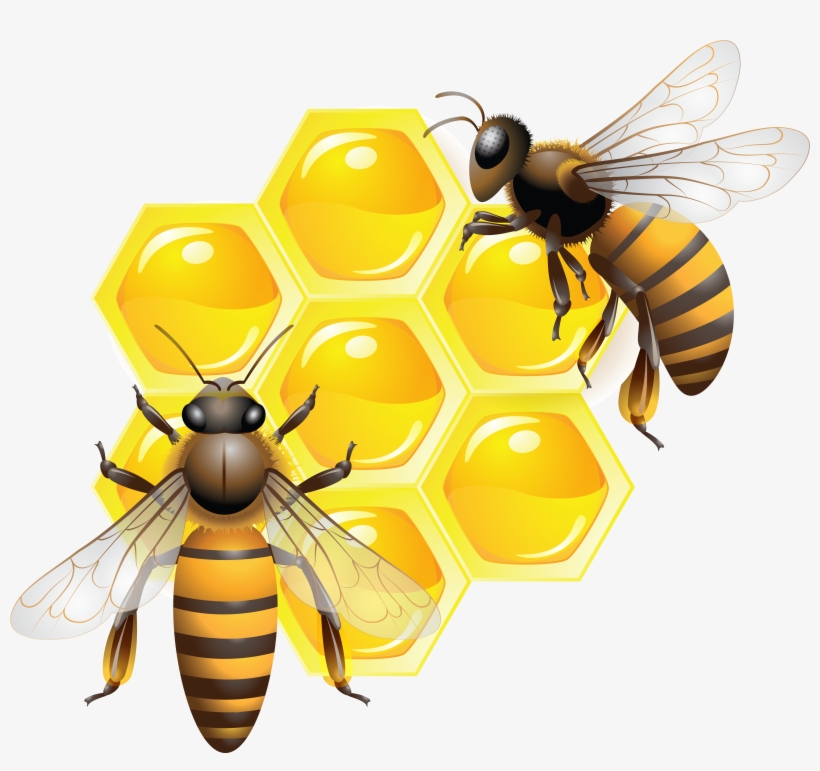 Bees On The Flower Round Ornament, transparent png #230828