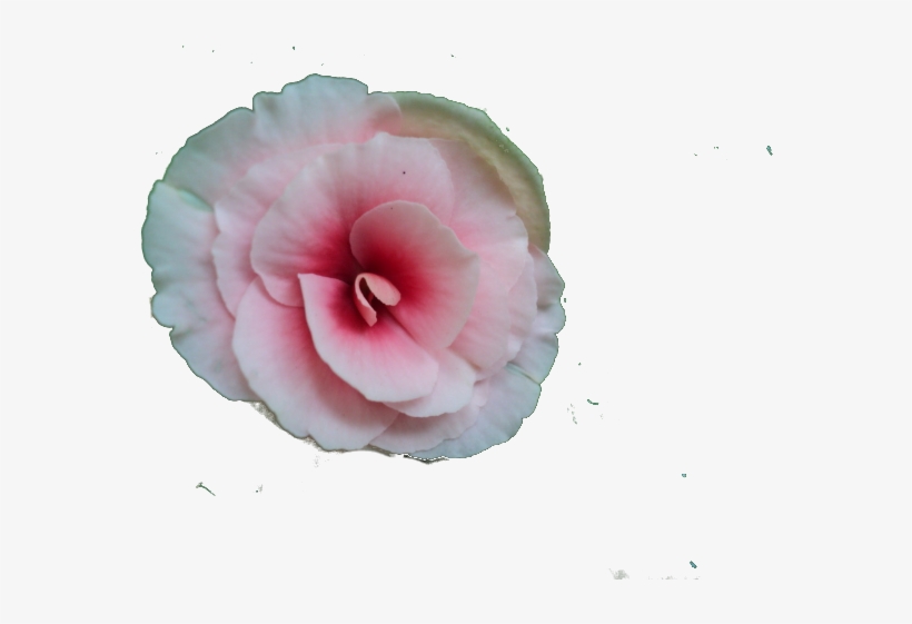 Picture - Hippie, transparent png #231088