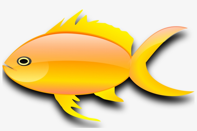 The Goldfish Computer Icons, transparent png #231215