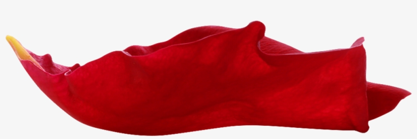 Sock, transparent png #231352
