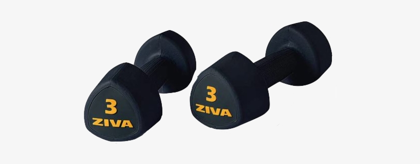 Ziva Rubber Tribell Studio Dumbbell - Dumbbell Ziva, transparent png #231674