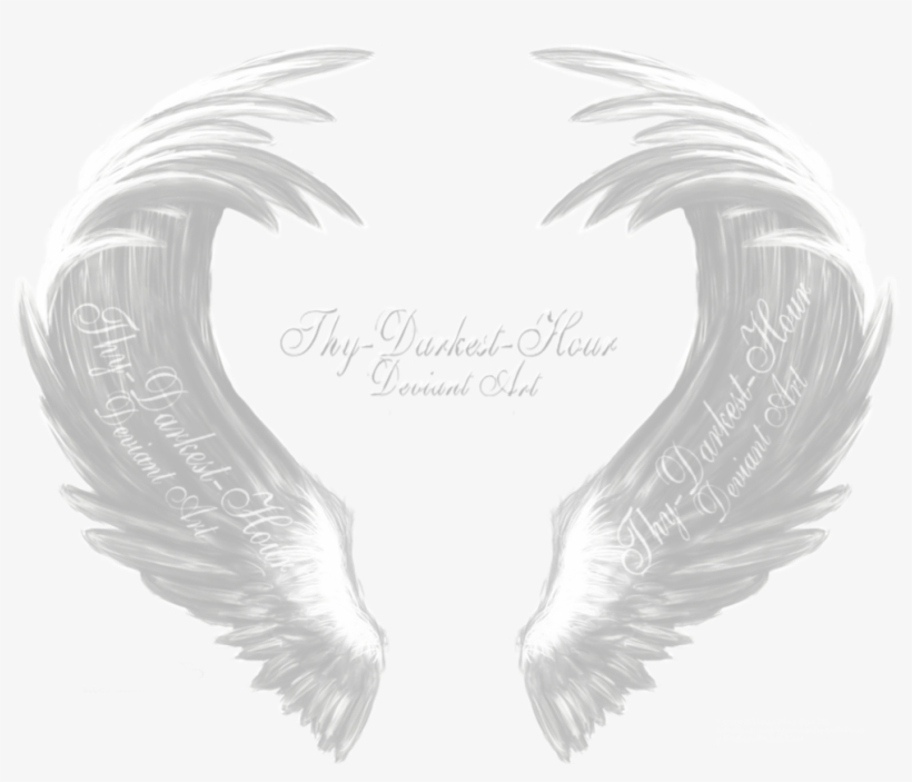 White Angel Wings - Eagle, transparent png #232471
