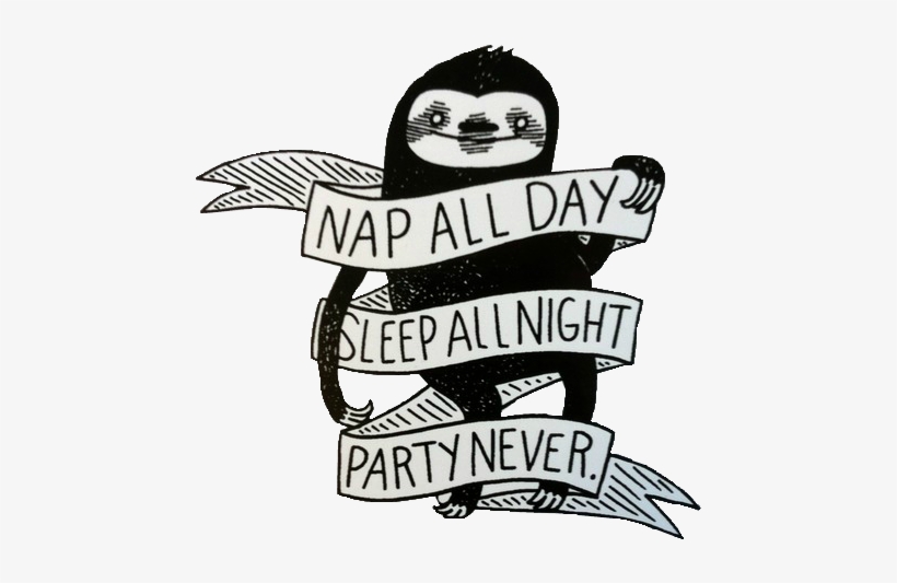 Cute Sloths Sloth Transparent Transparent Sloth - Party Never Sleep Always, transparent png #232814