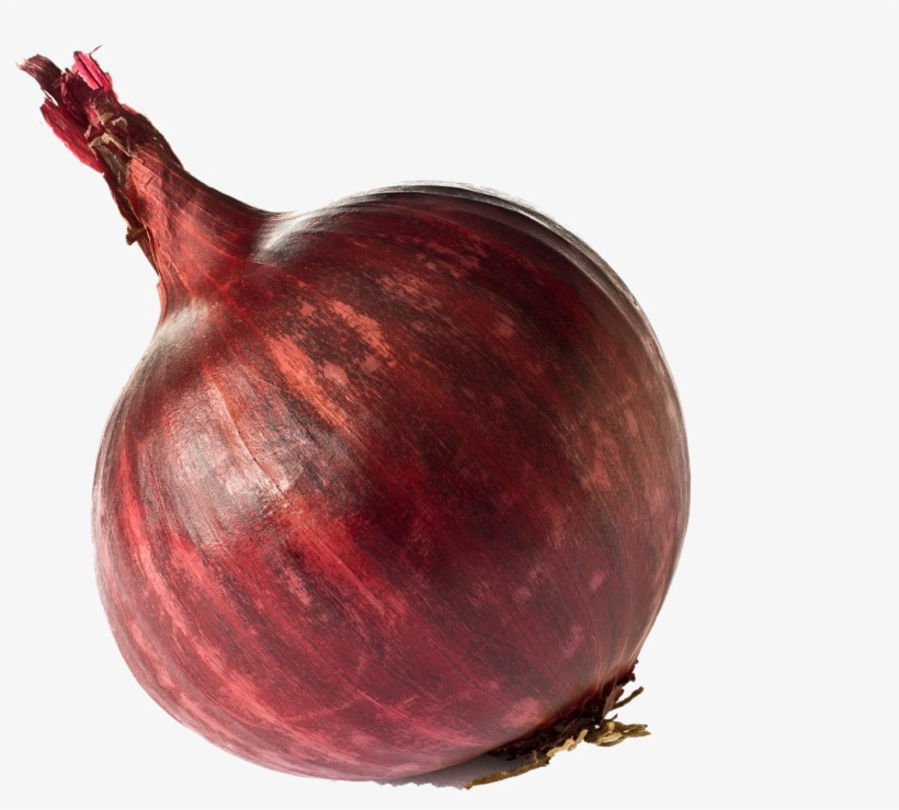 God Of Onion, transparent png #232867