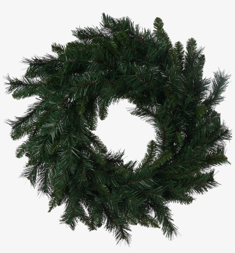 Trees N Trends, transparent png #232960