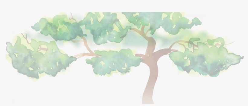 Maidenhair Tree, transparent png #233710