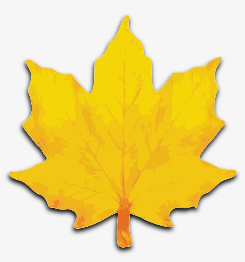 Fall Leaves Vector - Maple Leaf Clipart, transparent png #233900