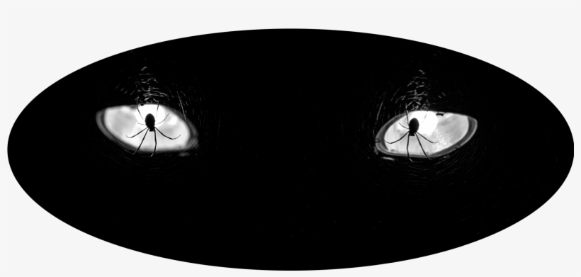 Spider Eyes - Photographer, transparent png #234136