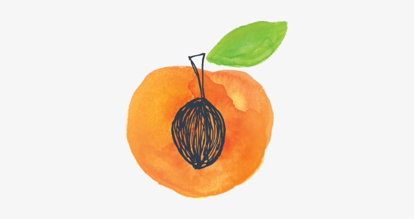 Ingredient Thumbnailsartboard 1 Copy 18-03 V=1484241768 - Peach, transparent png #234227
