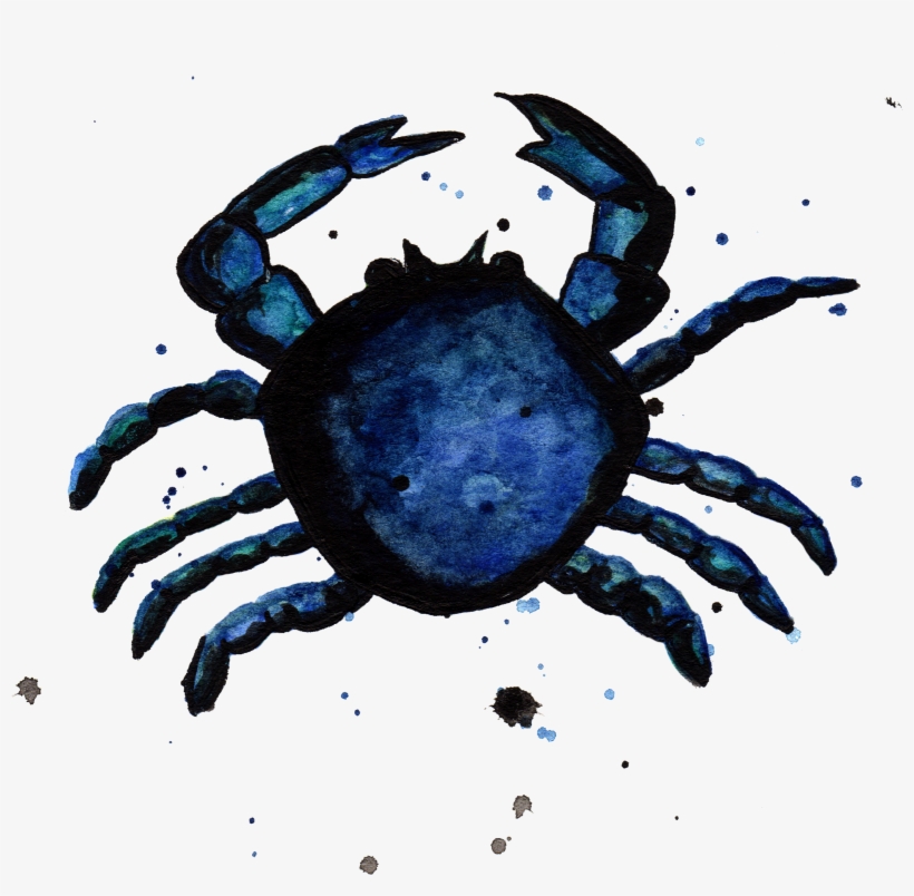 Blue Crab By Chrystal Elizabeth - Water, transparent png #234594