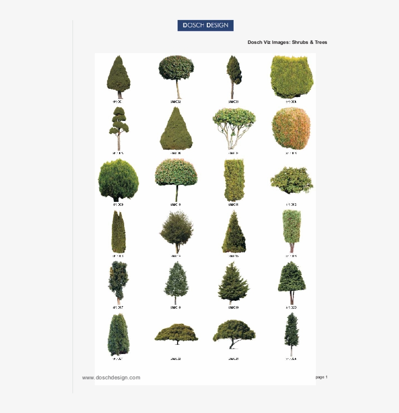 Attractive Quantity Discounts Up To 20% Are Displayed - Pond Pine, transparent png #235899