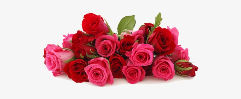 Creative Flowers By Amodio - Good Morning Rose Hd, transparent png #236304