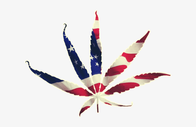 American Flag, American Fl - American Flag Weed Leaf Png, transparent png #236373