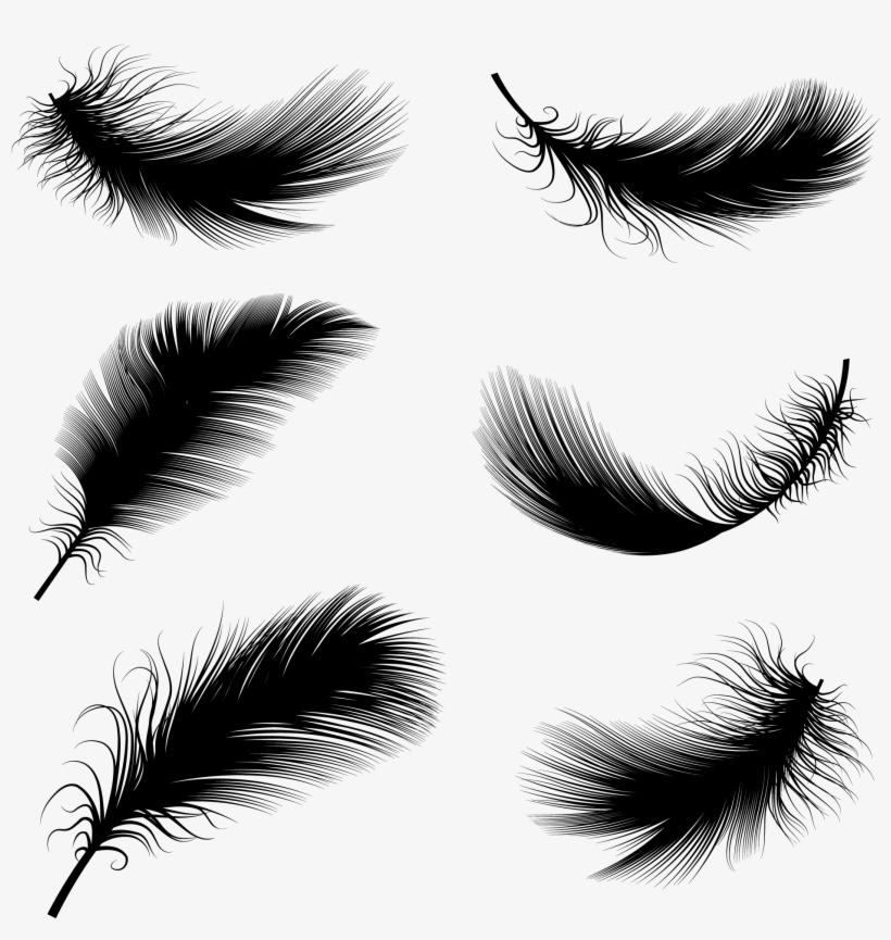 Drawn Eyelash Button Eye - Vector Drawing Feather, transparent png #236467