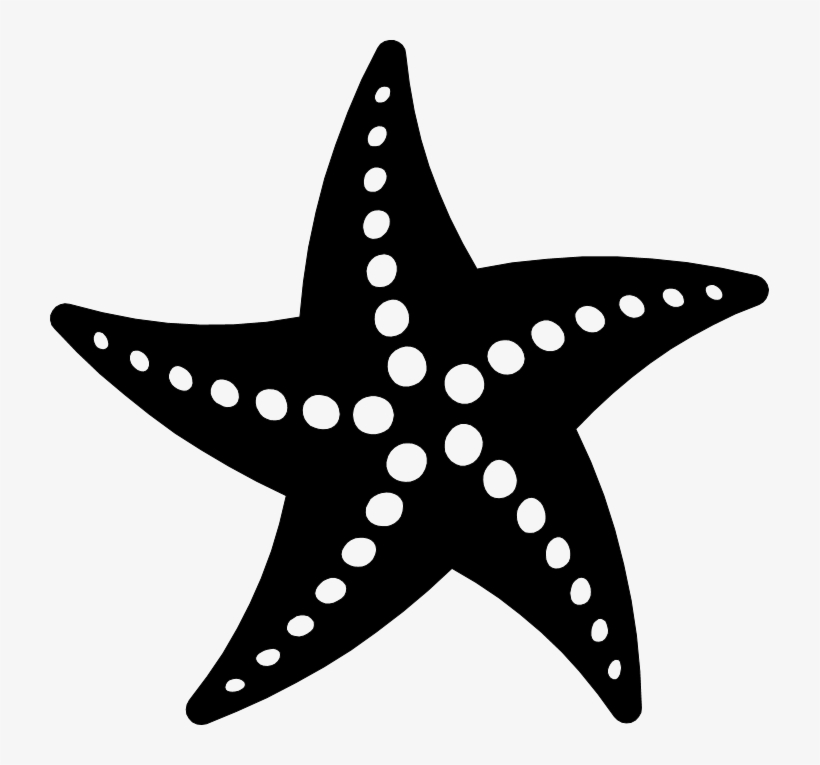 Png Starfish Black And White Transparent Starfish Black - Starfish Vector, transparent png #236684