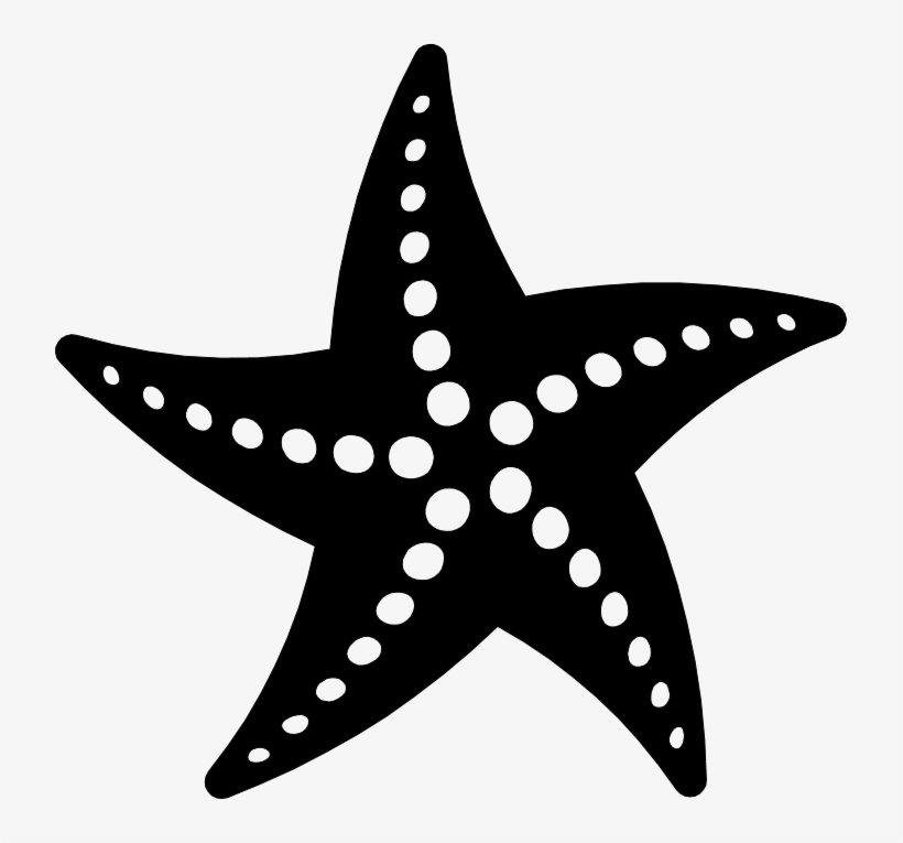 Png Starfish Black And White Transparent Starfish Black - Starfish Vector -  Free Transparent PNG Download - PNGkey