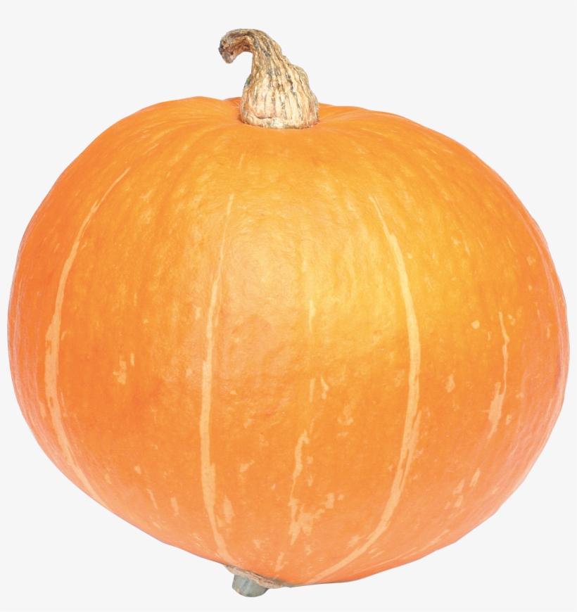 Pumpkin Png, transparent png #236752