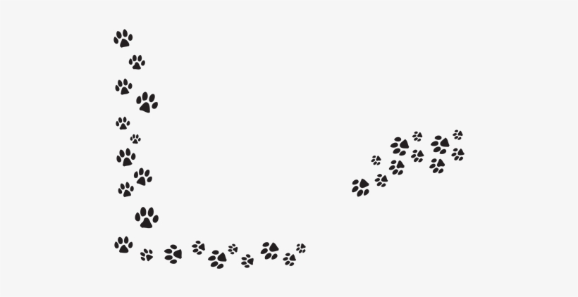 Puppy Paw Print Png - Paw Prints Transparent Background, transparent png #236966