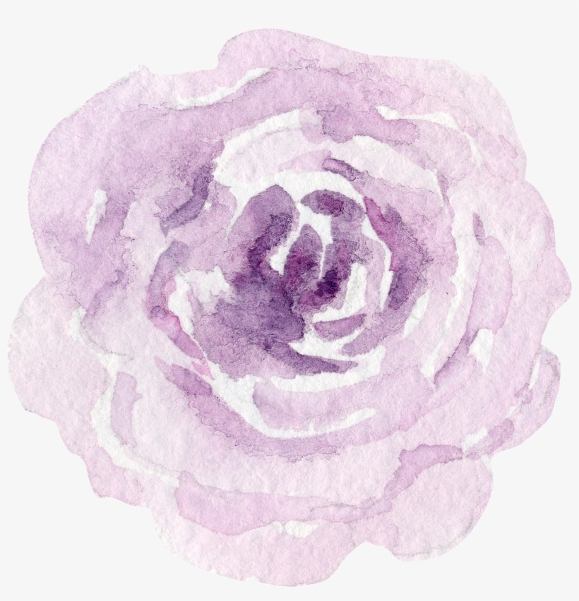 Flr - Garden Roses, transparent png #237009