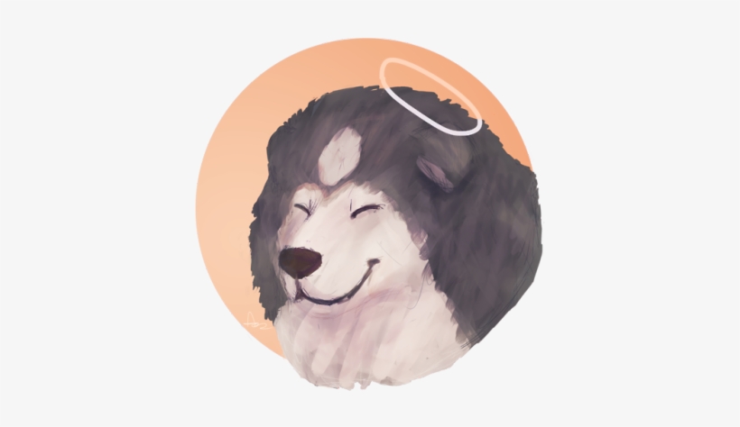 I Heard The News About Leo And Wanted To Draw A Little - Alaskan Malamute, transparent png #237131