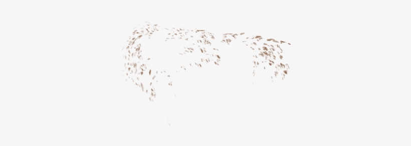 Tree, transparent png #237884