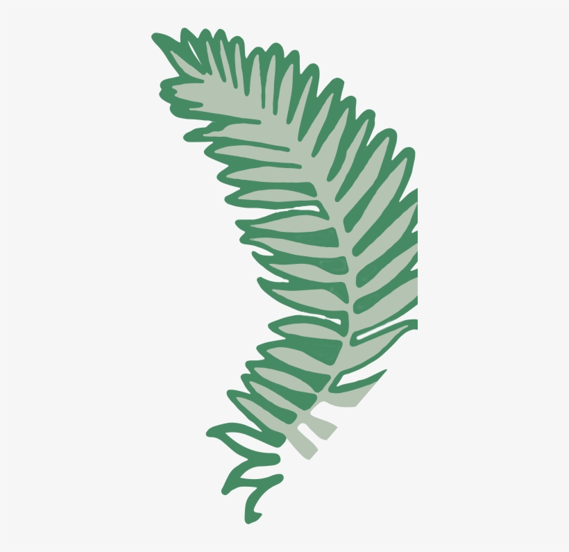 Fern Clipart Holiday - Holiday, transparent png #237989