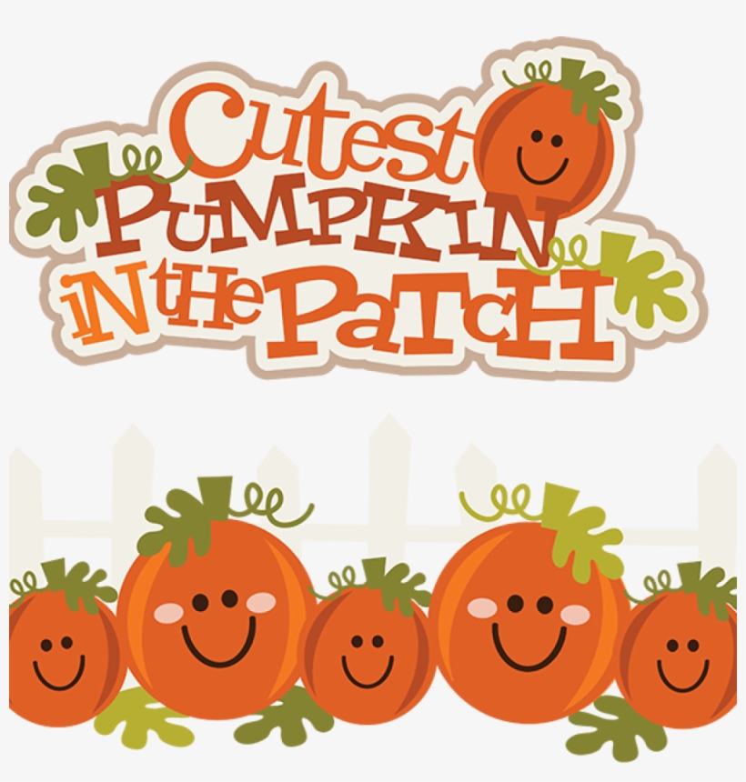 Image Royalty Free Stock Cute Elephant Hatenylo Com - Cute Pumpkin Clip Art, transparent png #238190